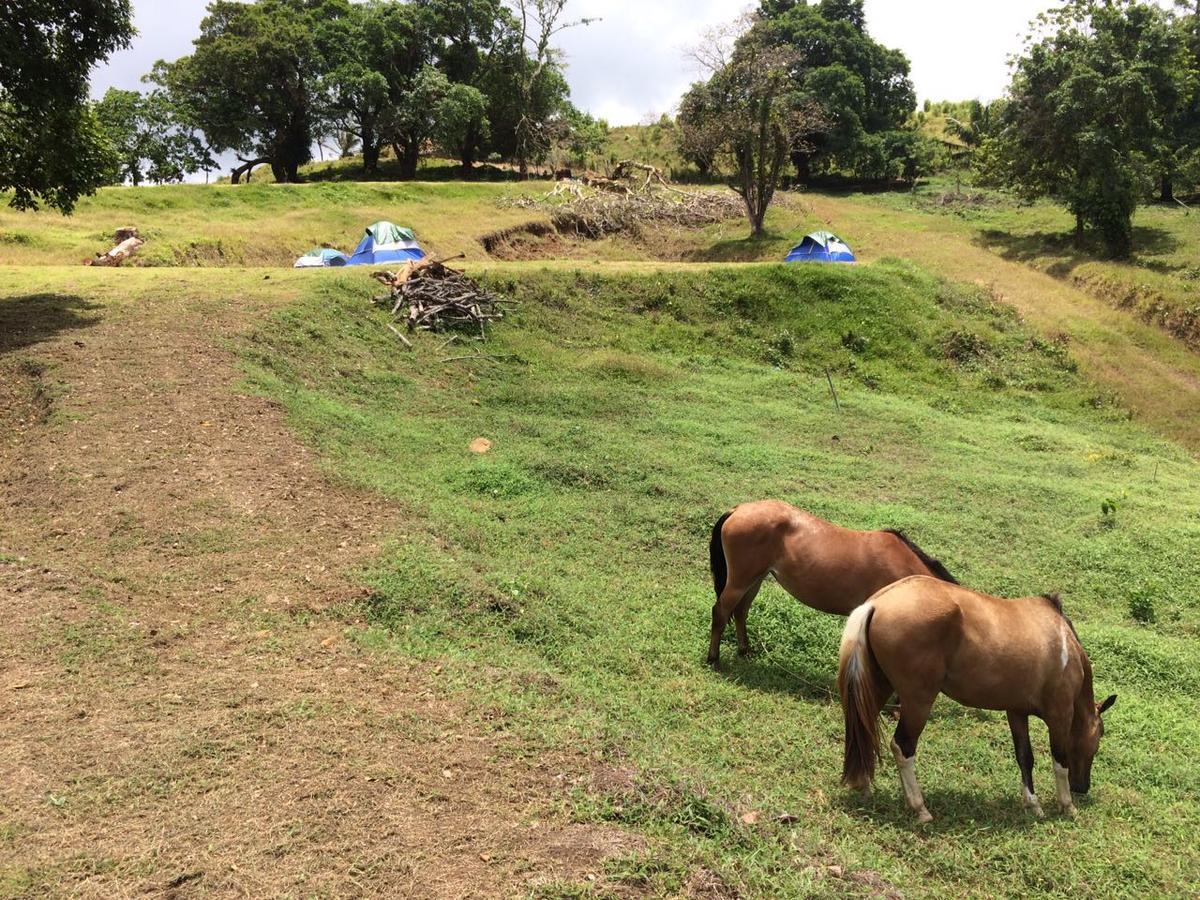 מלון פורטובלו Rancho Juancho מראה חיצוני תמונה