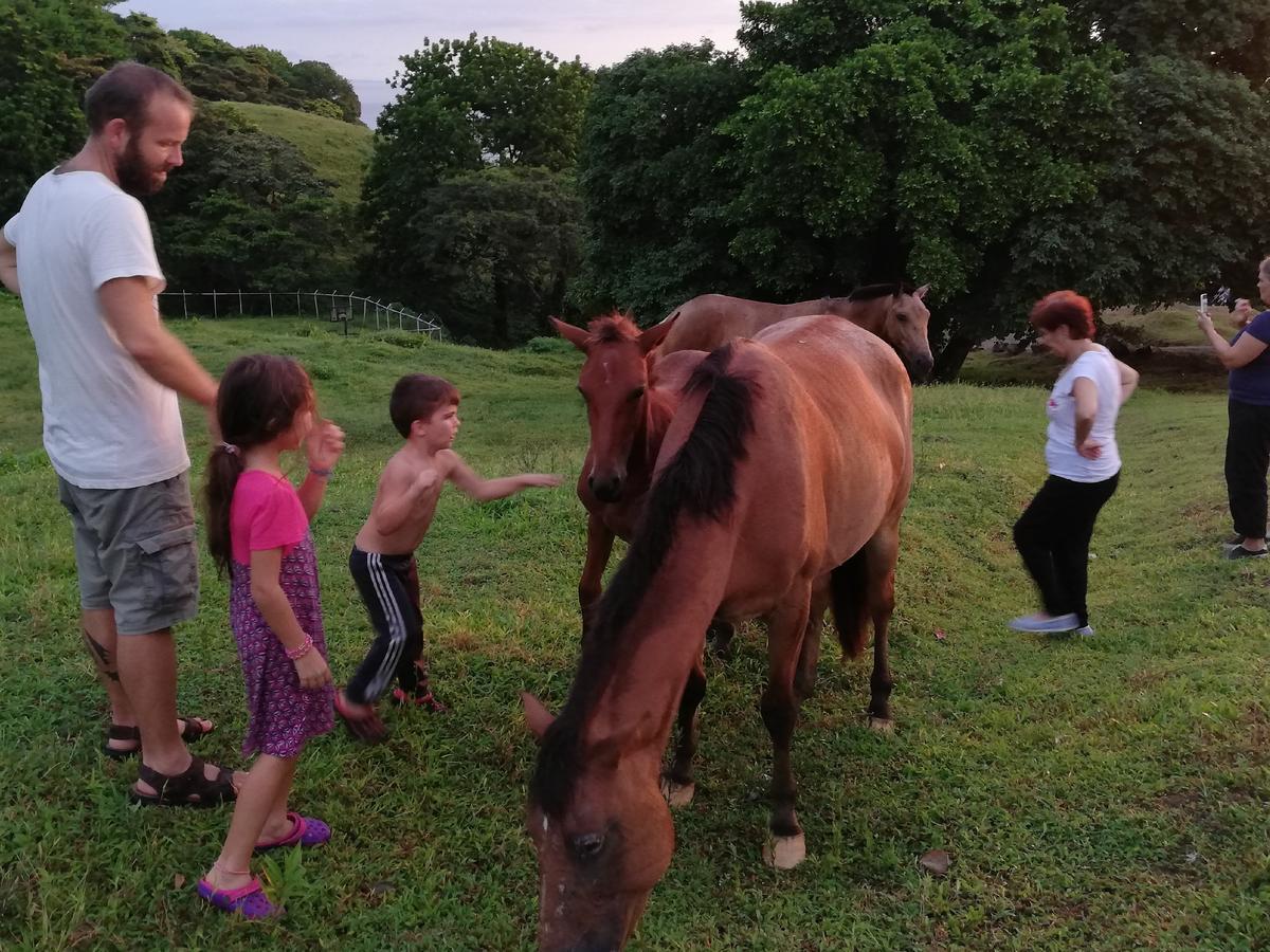 מלון פורטובלו Rancho Juancho מראה חיצוני תמונה